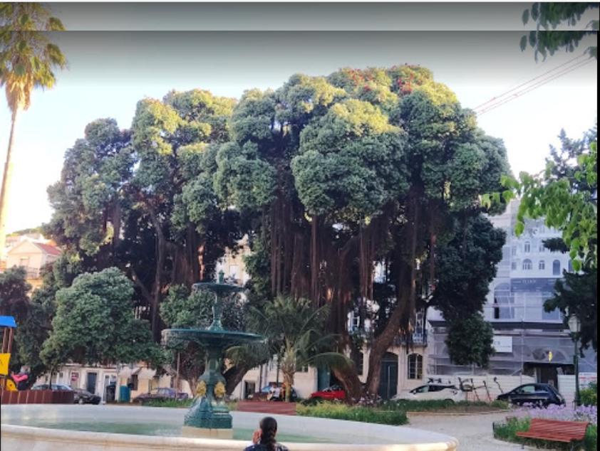 Alegramente Apartment Lisbon Luaran gambar